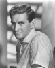 rod taylor picture