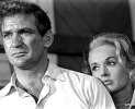 rod taylor picture1