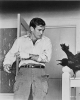 rod taylor picture4