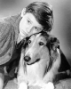 roddy mcdowall image