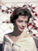 romy schneider photo2
