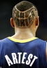 ron artest image
