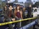 ron livingston photo1