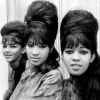 ronnie spector photo