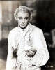 rudolph valentino image1
