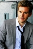 ryan kwanten picture1