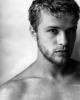 ryan phillippe image