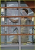 ryan reynolds image2