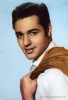 sal mineo image2