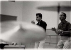 sal mineo picture