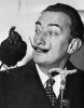 salvador dali image