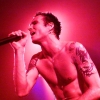 scott weiland photo