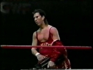sean waltman image4