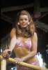 senta berger picture