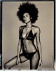 shakara ledard image1