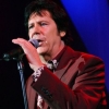 shakin  stevens image