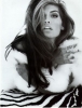 shana zadrick photo2