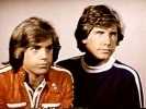 shaun cassidy image