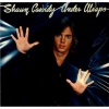shaun cassidy photo2