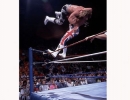 shawn michaels pic shawn michaels pic