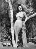 sheila ryan picture4