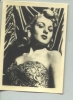shelley winters photo1