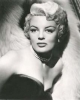 sheree north image1 sheree north image1