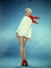sheree north image4 sheree north image4