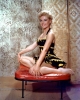 sheree north picture2 sheree north picture2
