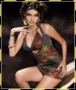 sherlyn chopra image2