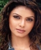 sherlyn chopra picture