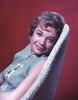 shirley maclaine picture