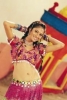 sindhu tolani img