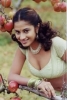 sindhu tolani photo1
