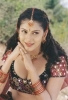 sindhu tolani pic