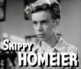 skip homeier image