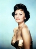 sophia loren image2