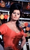 sophia loren photo
