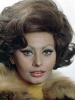sophia loren photo2