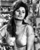 sophia loren picture
