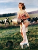 sophie b  hawkins picture