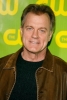 stephen collins picture