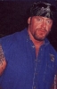 steve austin pic