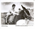 steve guttenberg img