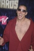 steve image