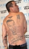 steve image1