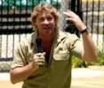 steve irwin img