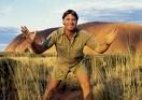 steve irwin pic