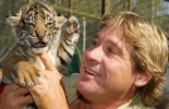 steve irwin picture