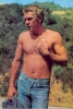 steve mcqueen image